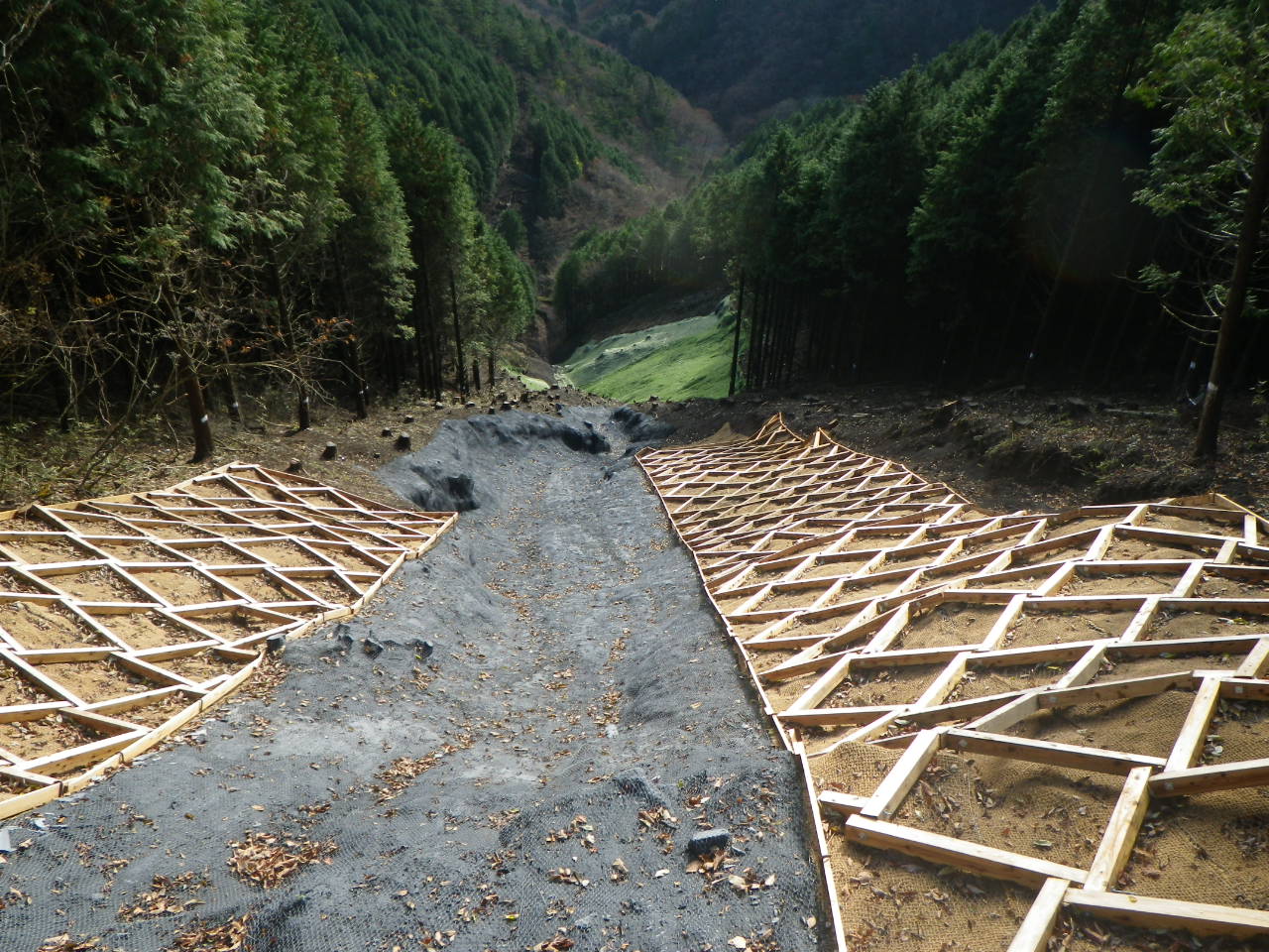 世附地区水源地域整備工事（H28ゼロ国）