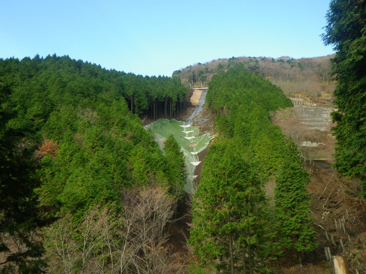 世附地区水源地域整備工事（H28ゼロ国）